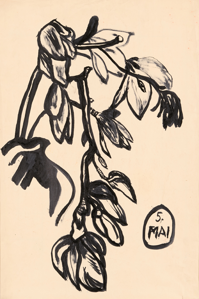 0355_FK-2_Studie-Pflanze.jpg/355