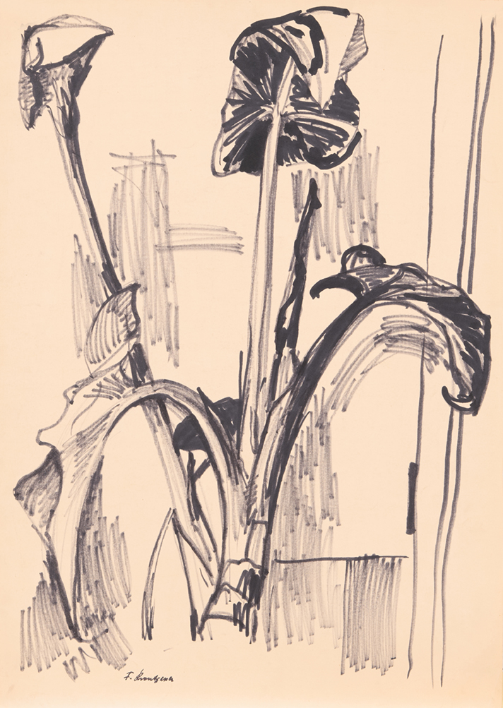 0449_FK-2_Studie-Pflanze.jpg/449