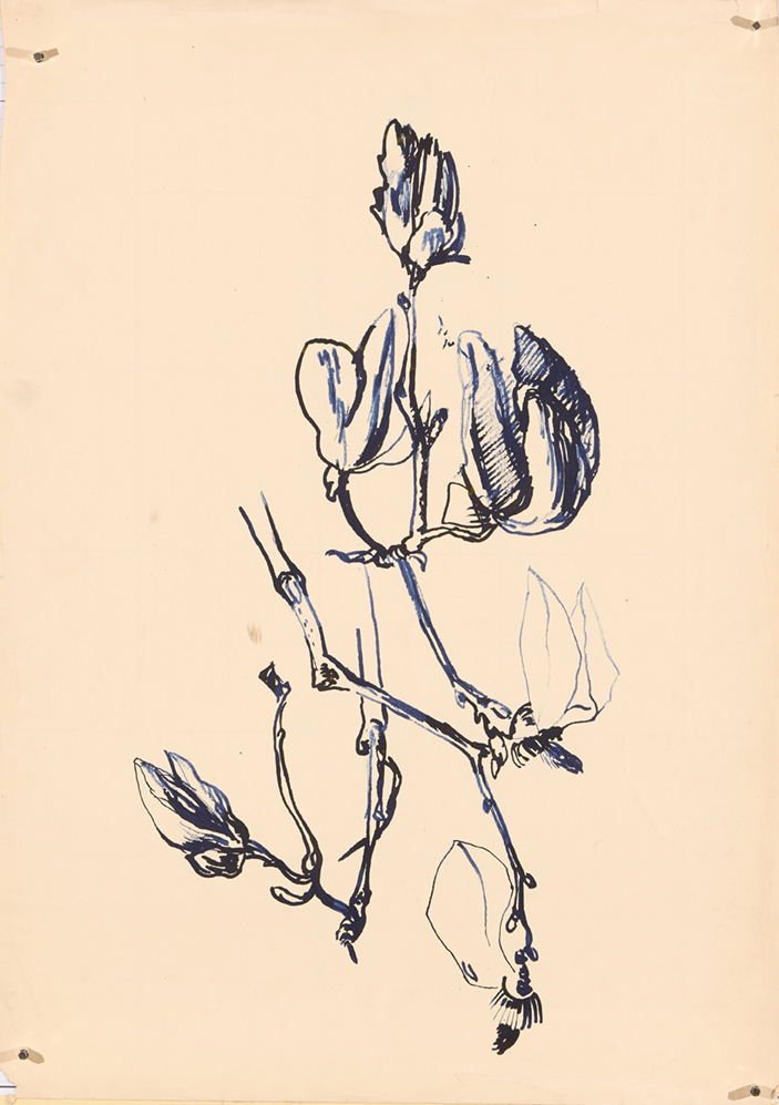 1511_FK-3_Studie.jpg/1511