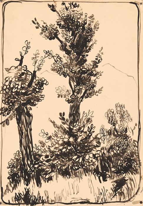 1529_FK-3_Studie-Pflanze.jpg/1529