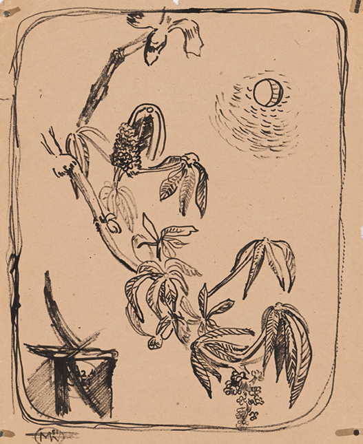 1533_FK-3_Studie-Pflanze.jpg/1533