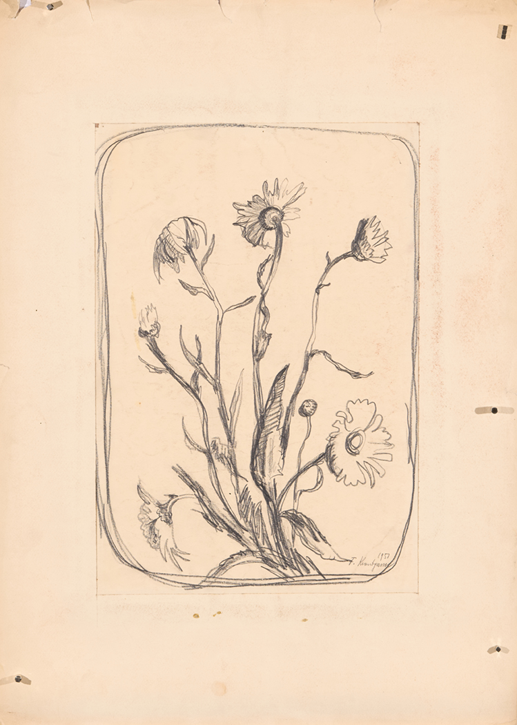 1535_FK-3_Studie-Pflanze.jpg/1535