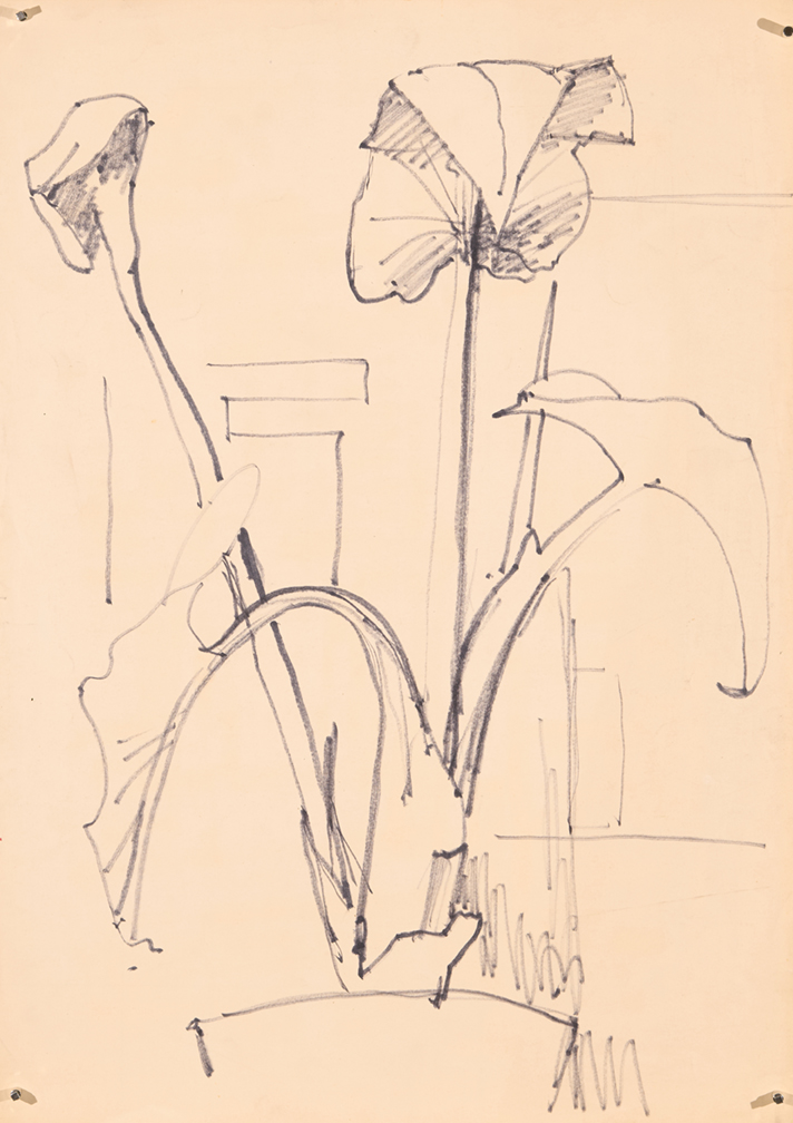 1561_FK-3_Studie-Pflanze.jpg/1561