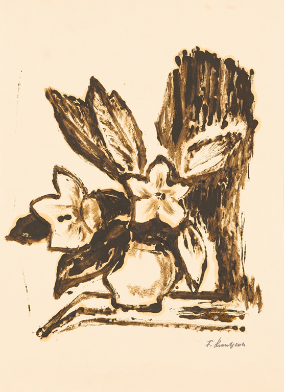 1601_FK-4_Studie-Pflanze.jpg/1601