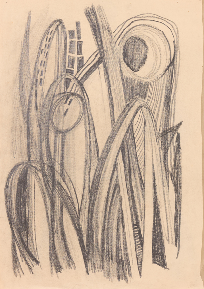1695_FK-4_Studie-Pflanze.jpg/1695