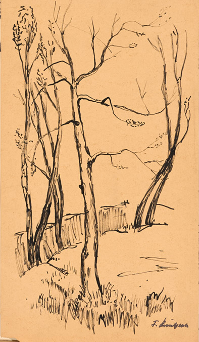 2235_FK-4_Landschaft.jpg/2235