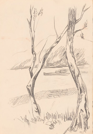2488_FK-4_Studie-Pflanze.jpg/2488
